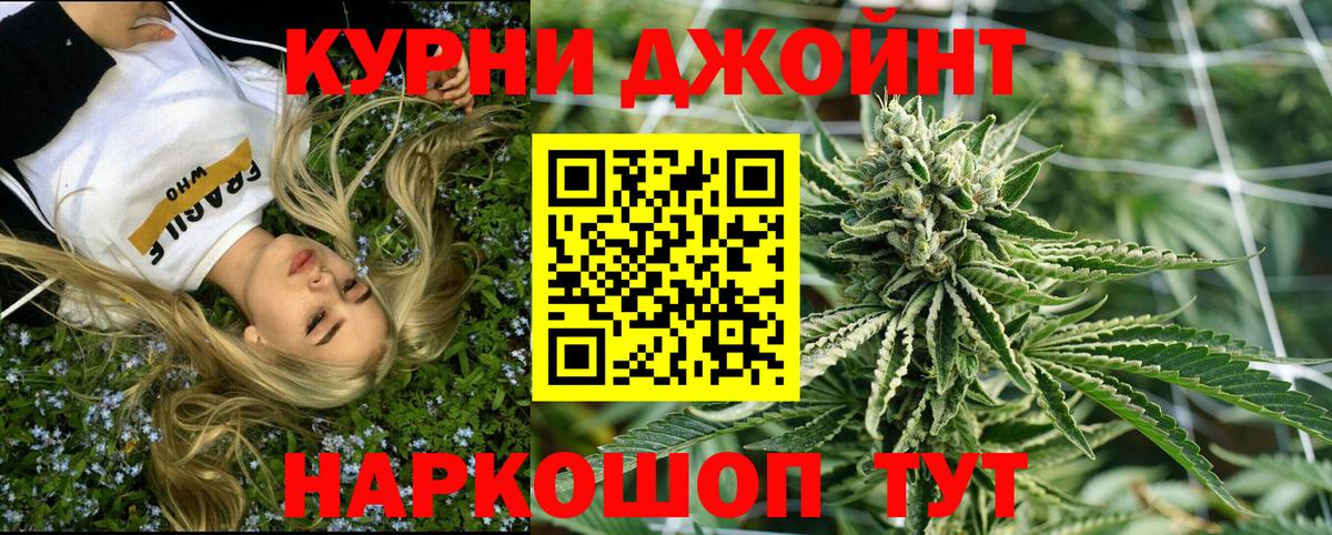 Конопля индика Калуга